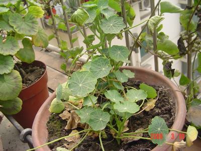 �ɰ��Ľ���(������Ҳ������40���  10ҳ)