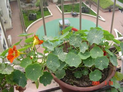 �ɰ��Ľ���(������Ҳ������40���  10ҳ)