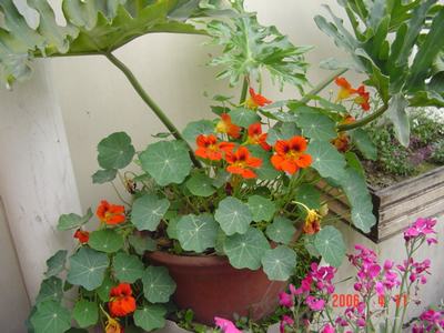 �ɰ��Ľ���(������Ҳ������40���  10ҳ)