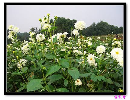 �ֿ�������