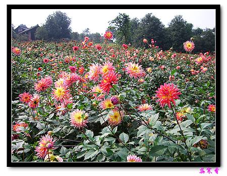 �ֿ�������