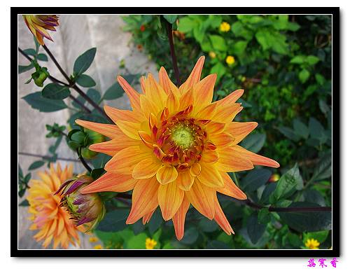 �ֿ�������