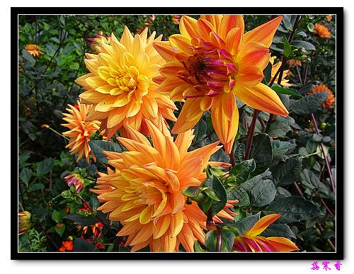 �ֿ�������