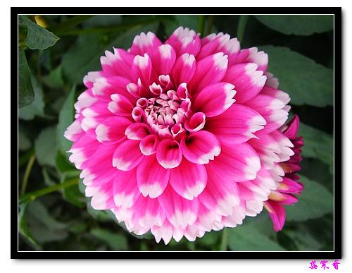 �ֿ�������