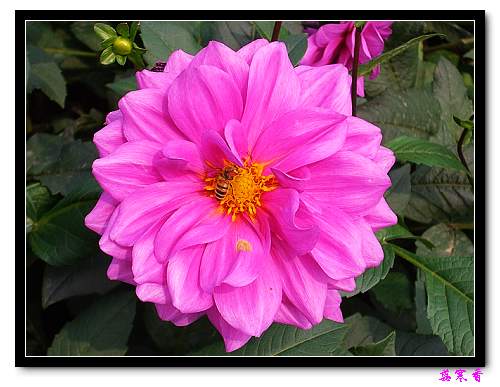 �ֿ�������