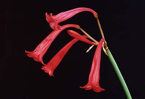 [ת��]����ӻ�1