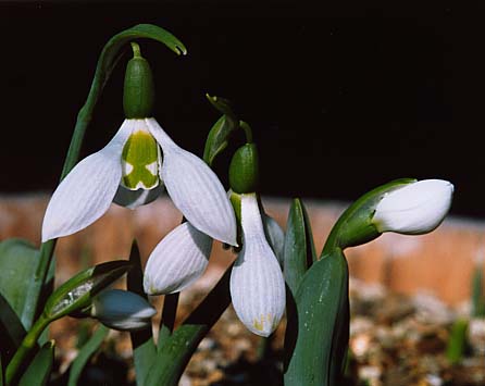 [ת��]����ӻ�1