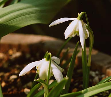 [ת��]����ӻ�1