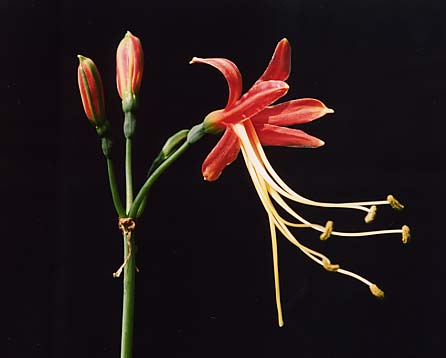 [ת��]����ӻ�1