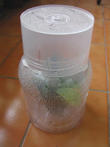 �W�N �i�\��