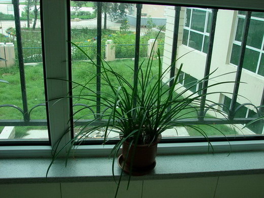 �����ҼҵĻ���