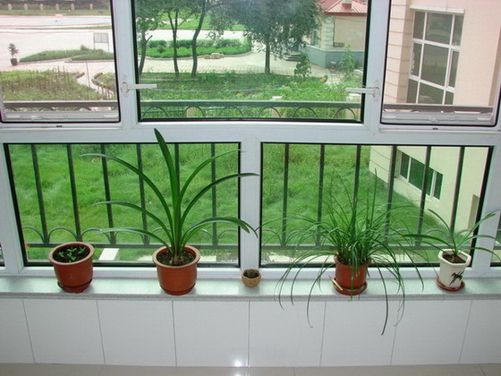 �����ҼҵĻ���