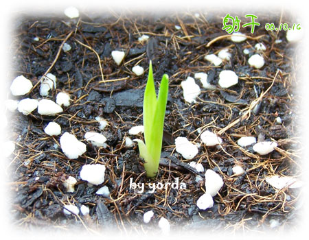 �����ˬ�������ǿ�ʼ��ѿ��(P4��ɷ�ѿ��Ŷ)