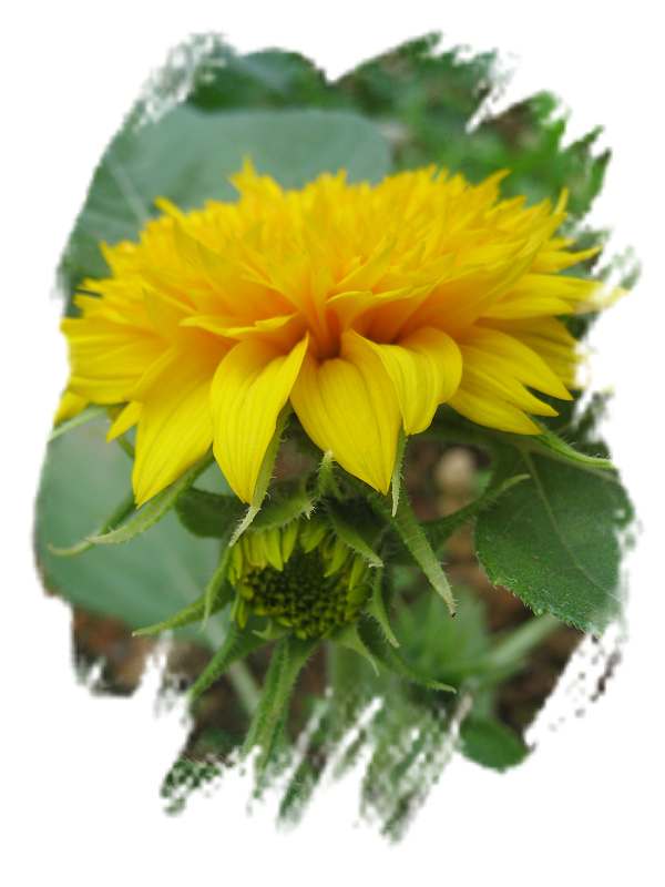 ���˱������ҵ��ݶ����ֵĿɰ��ļһ���