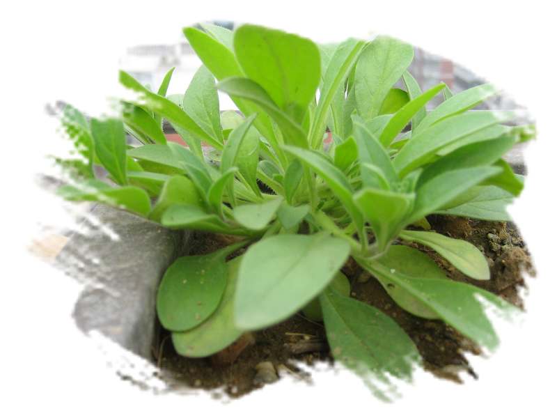 ���˱������ҵ��ݶ����ֵĿɰ��ļһ���