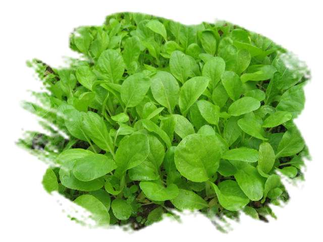 ���˱������ҵ��ݶ����ֵĿɰ��ļһ��ǣ�10��15���賿���£���