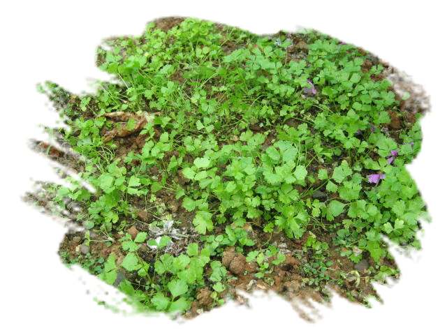 ���˱������ҵ��ݶ����ֵĿɰ��ļһ��ǣ�10��15���賿���£���