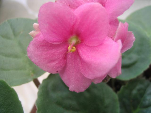 �������ˣ���������10��14���������P3)