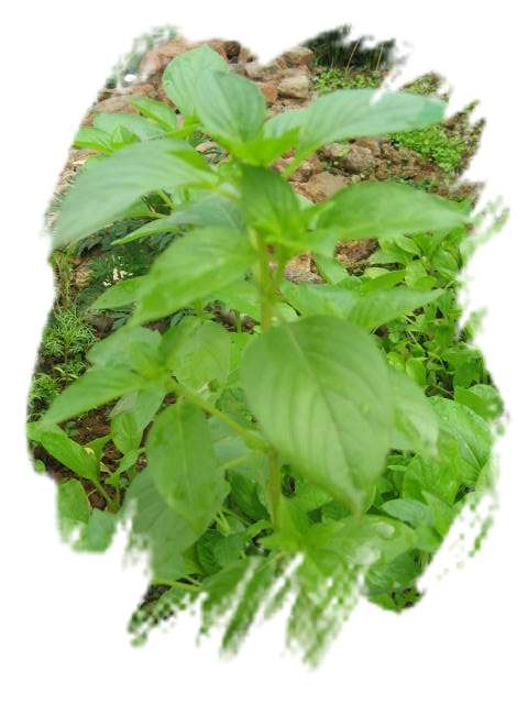 ���˱������ҵ��ݶ����ֵĿɰ��ļһ��ǣ�10��15���賿���£���