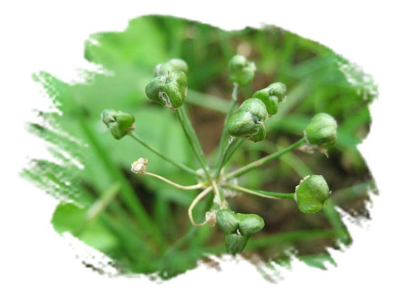 ���˱������ҵ��ݶ����ֵĿɰ��ļһ��ǣ�10��15���賿���£���