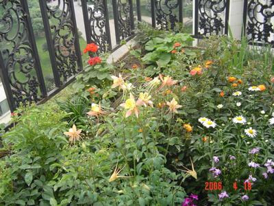 ϲ�����ﶷ��