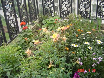 ϲ�����ﶷ��