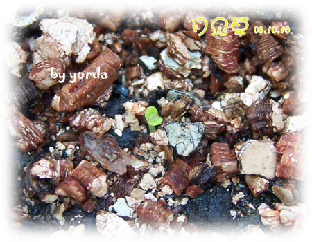 �����ˬ�������ǿ�ʼ��ѿ��(P6����pp)