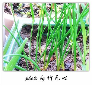 ����Ļ���~P5,ܽ�������ݿ�������