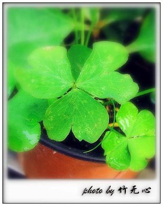 ����Ļ���~P5,ܽ�������ݿ�������