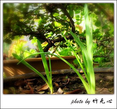 ����Ļ���~P5,ܽ�������ݿ�������