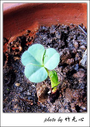 ����Ļ���~P5,ܽ�������ݿ�������