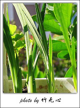 ����Ļ���~P5,ܽ�������ݿ�������