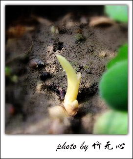 ����Ļ���~P5,ܽ�������ݿ�������