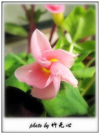 ����Ļ���~P5,ܽ�������ݿ�������