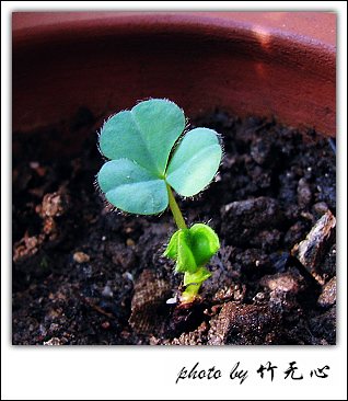 ����Ļ���~P5,ܽ�������ݿ�������