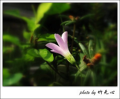 ����Ļ���~P5,ܽ�������ݿ�������