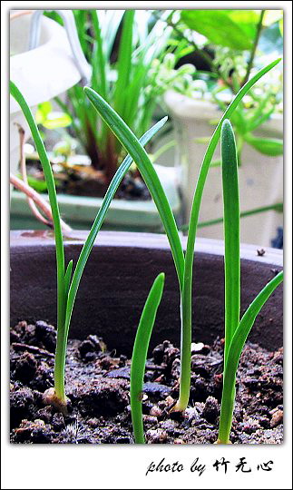 ����Ļ���~P5,ܽ�������ݿ�������