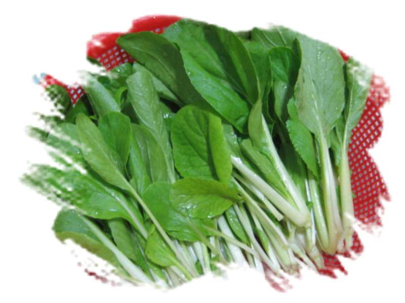 ���˱������ҵ��ݶ����ֵĿɰ��ļһ��ǣ�10��15���賿���£���