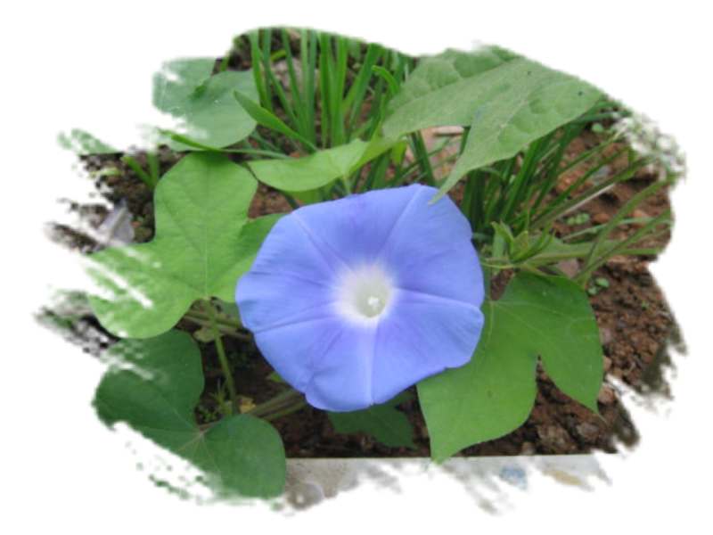 ���˱������ҵ��ݶ����ֵĿɰ��ļһ��ǣ�10��15���賿���£���