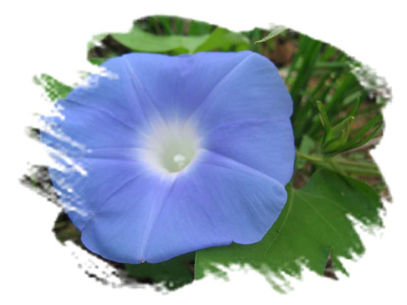 ���˱������ҵ��ݶ����ֵĿɰ��ļһ��ǣ�10��15���賿���£���