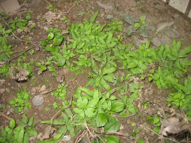 ���N�Nާ������