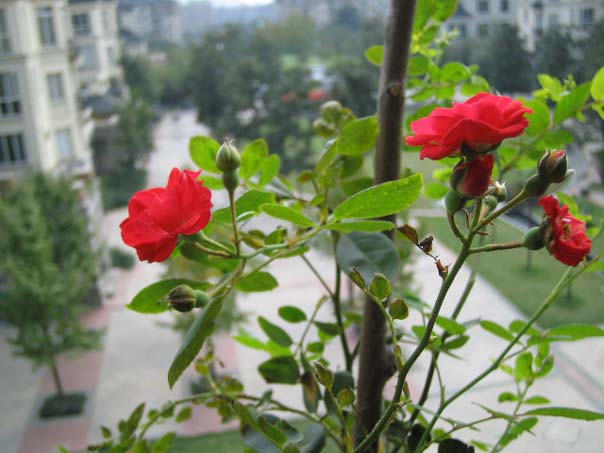 [��ͼ]��̨�����㱨(��������PP)