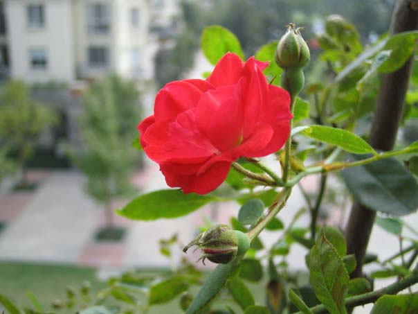 [��ͼ]��̨�����㱨(��������PP)