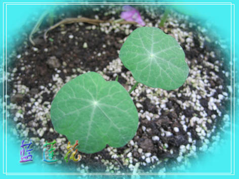 �·��ݵ����~������������������Ư����PPΪ��ͬѧ����!