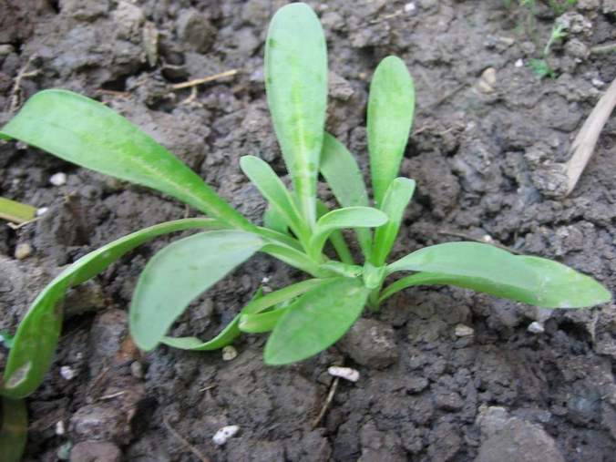 �·��ݵ����~������������������Ư����PPΪ��ͬѧ����!