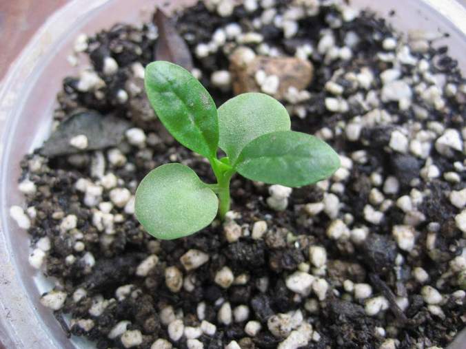 �·��ݵ����~������������������Ư����PPΪ��ͬѧ����!