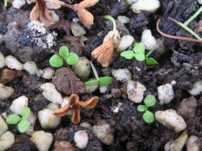 �·��ݵ����~������������������Ư����PPΪ��ͬѧ����!