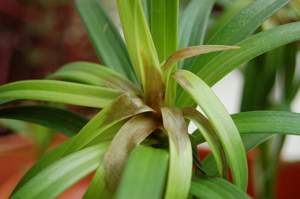 ���������ҵ�������ô�ˣ�