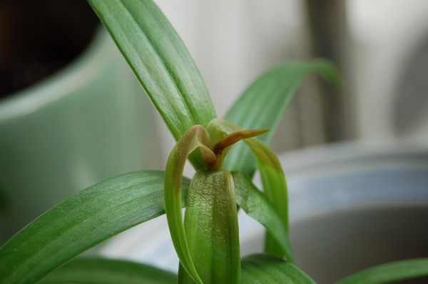 ���������ҵ�������ô�ˣ�