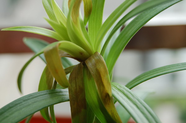 ���������ҵ�������ô�ˣ�